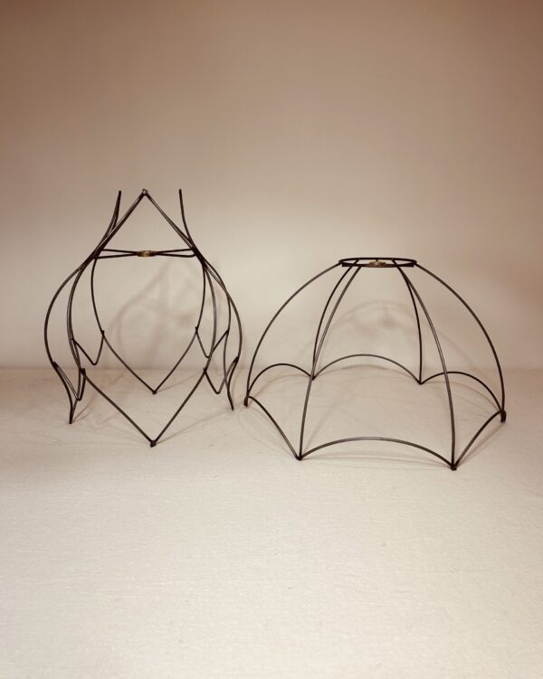 Wireframes Cyclop & Scallop Med.