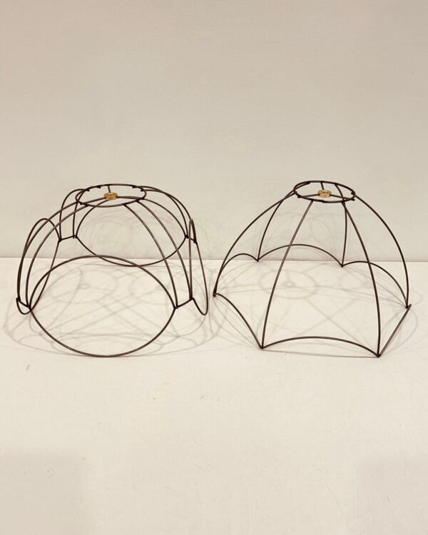 Wireframes Orabelle & Scallop Med.