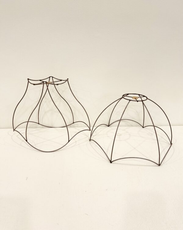 Wireframes Texas & Scallop Med.
