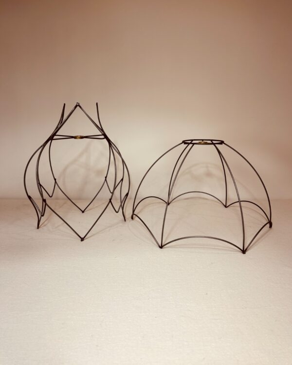 Wireframes Cyclops & Scallop Med.